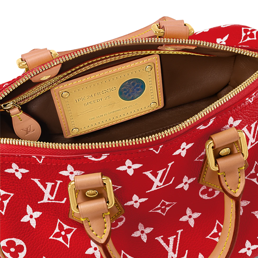 Replicate Louis Vuitton Speedy P9 Bandoulière 25 M24425   (1:1 replica)