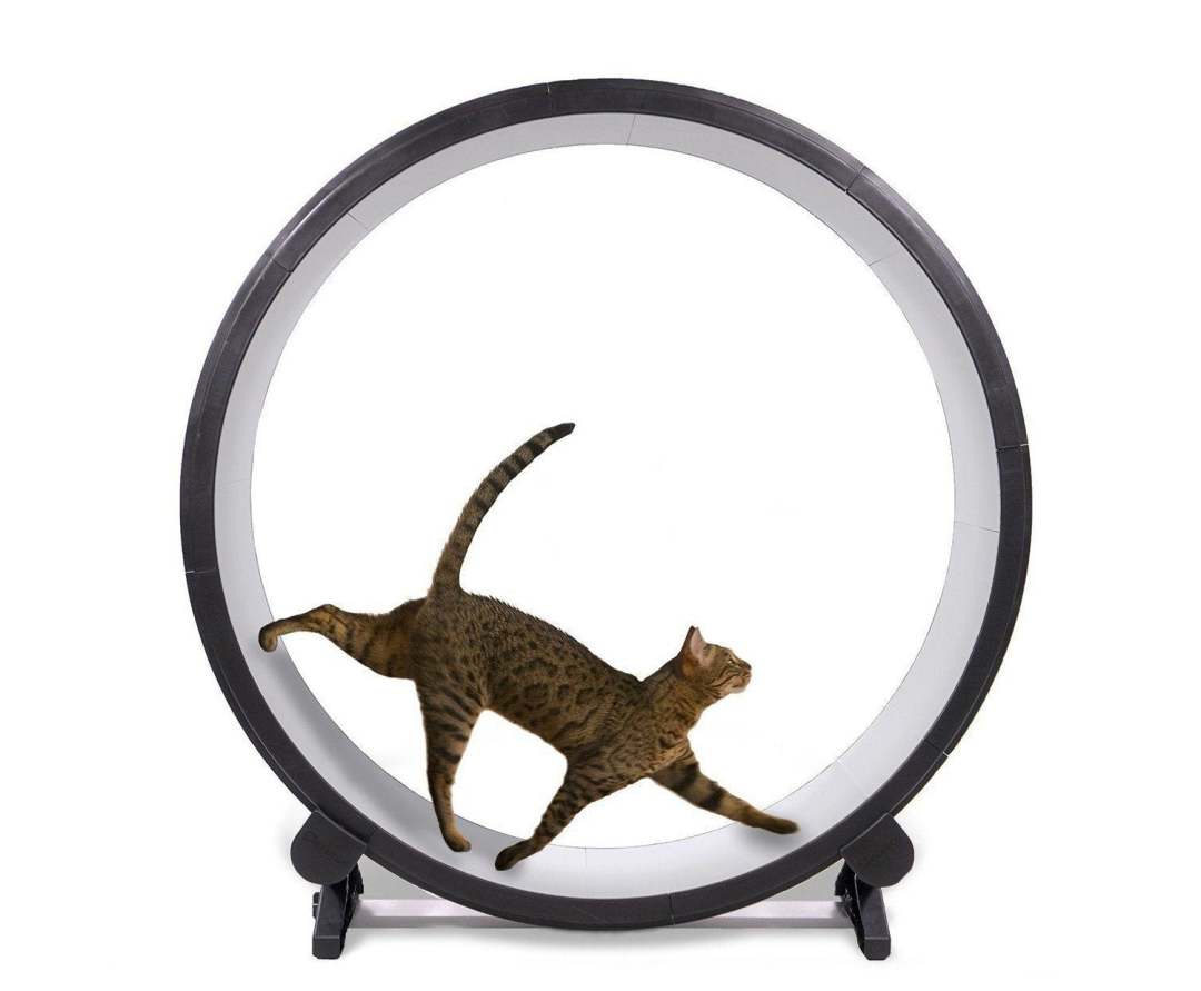 One Fast Cat 48′′ Giant Cat Exercise Wheel with EVA Foam Surface, Easy Assembly & Cleaning