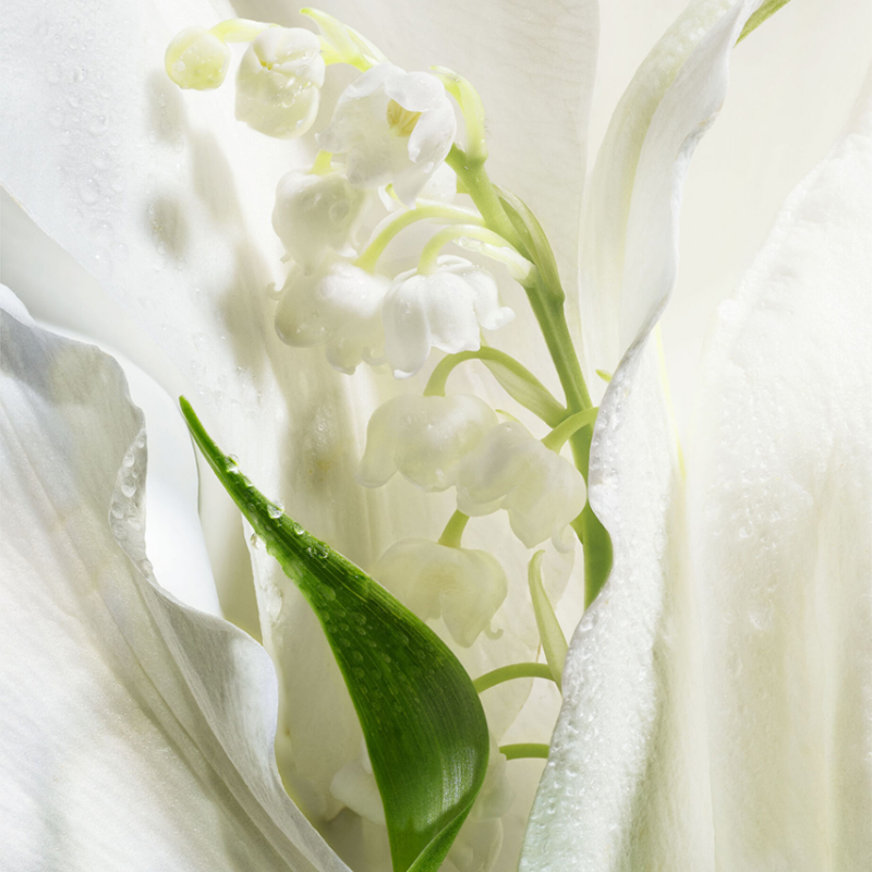 Dior Lucky Original Unisex Perfume