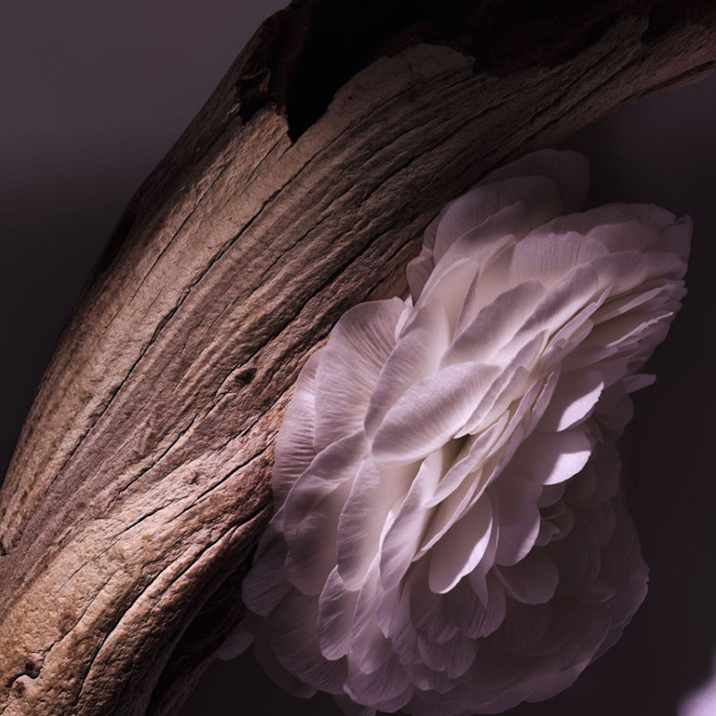 Dior GRIS DIOR Original Unisex Perfume