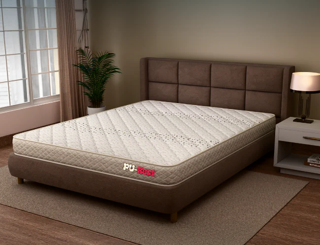 Centuary PU Rest