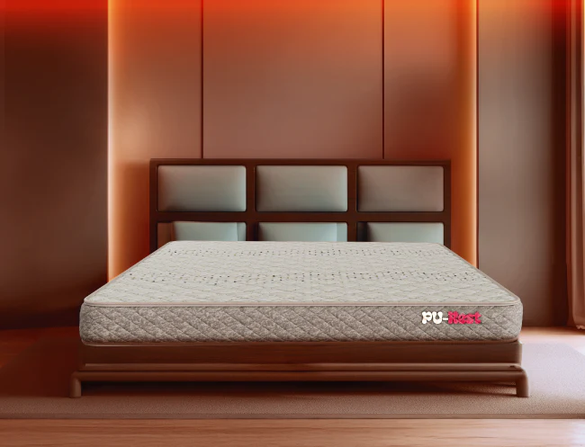 Centuary PU Rest