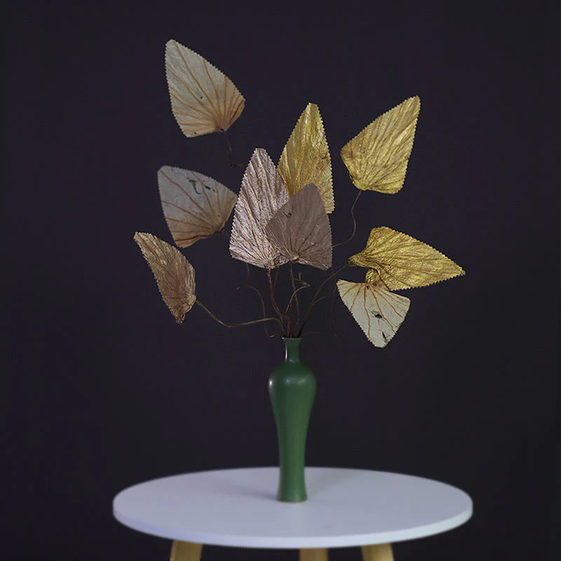 Mocoer Natural Dried Triangle Lotus Leaf Stemmed Plant Bouquet Home Decoration Ornaments - Mocoer
