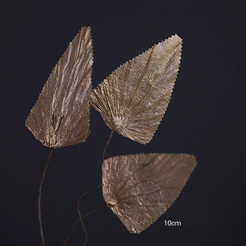 Mocoer Natural Dried Triangle Lotus Leaf Stemmed Plant Bouquet Home Decoration Ornaments - Mocoer