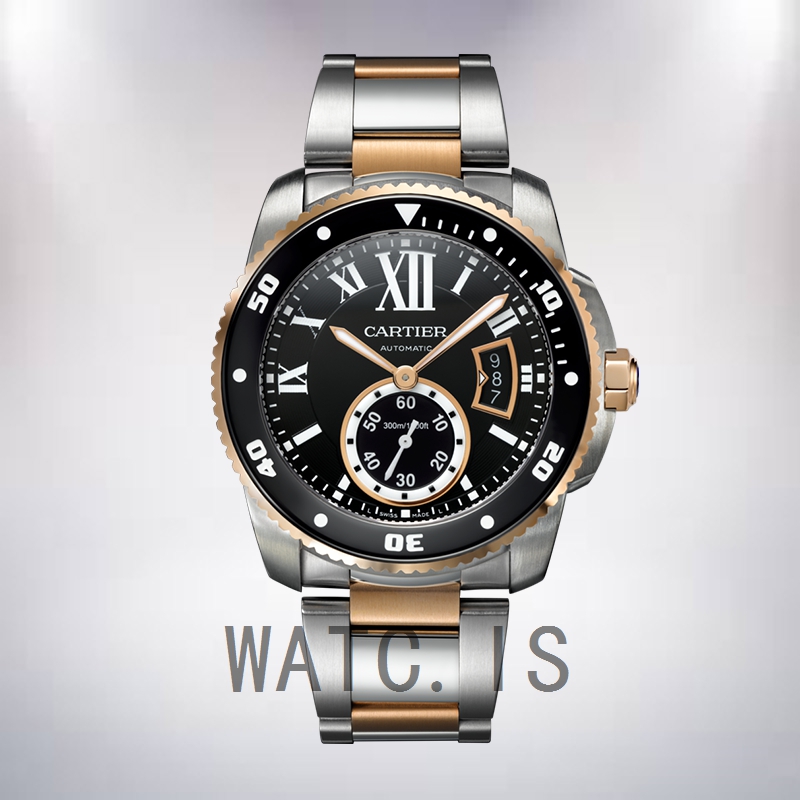 Cartier Calibre 42mm W7100054 Men's Automatic Silver-tone