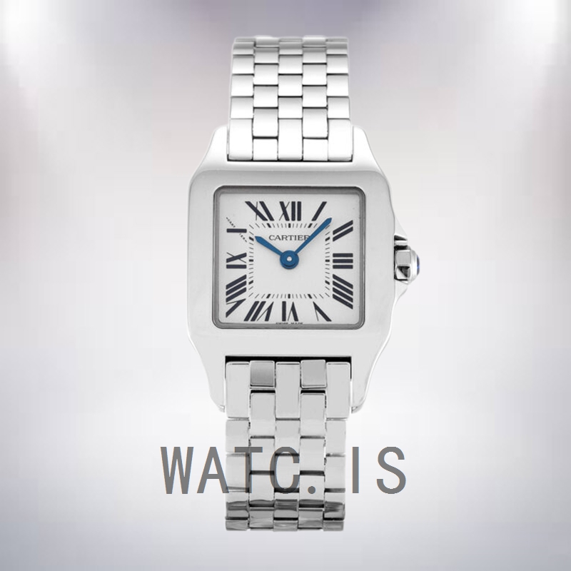 Cartier Santos 30mm Ladies W25064Z5 Quartz