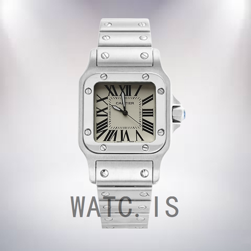 Cartier Santos 28mm W20056D6 Ladies Silver-tone Bracelet