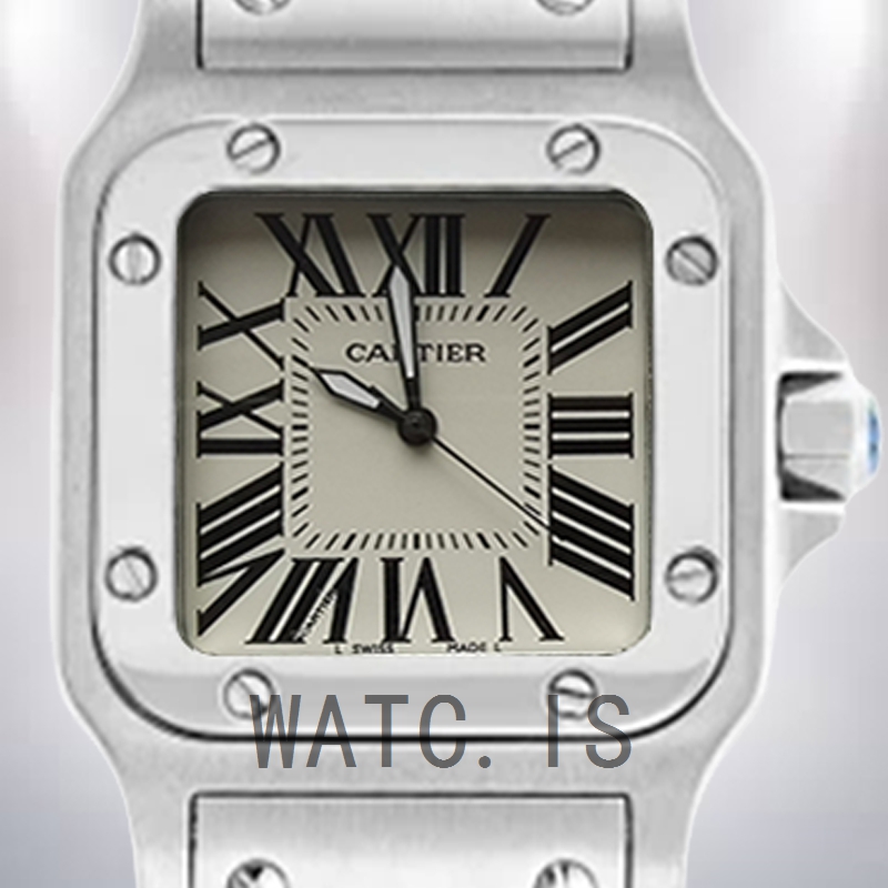 Cartier Santos 28mm W20056D6 Ladies Silver-tone Bracelet