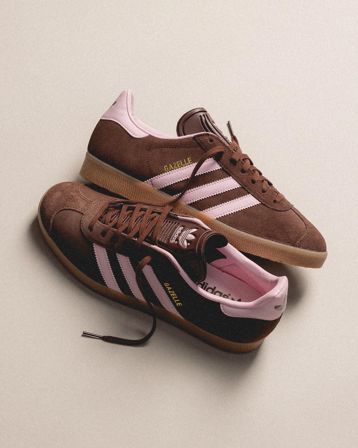 Drei Streifen Gazelle