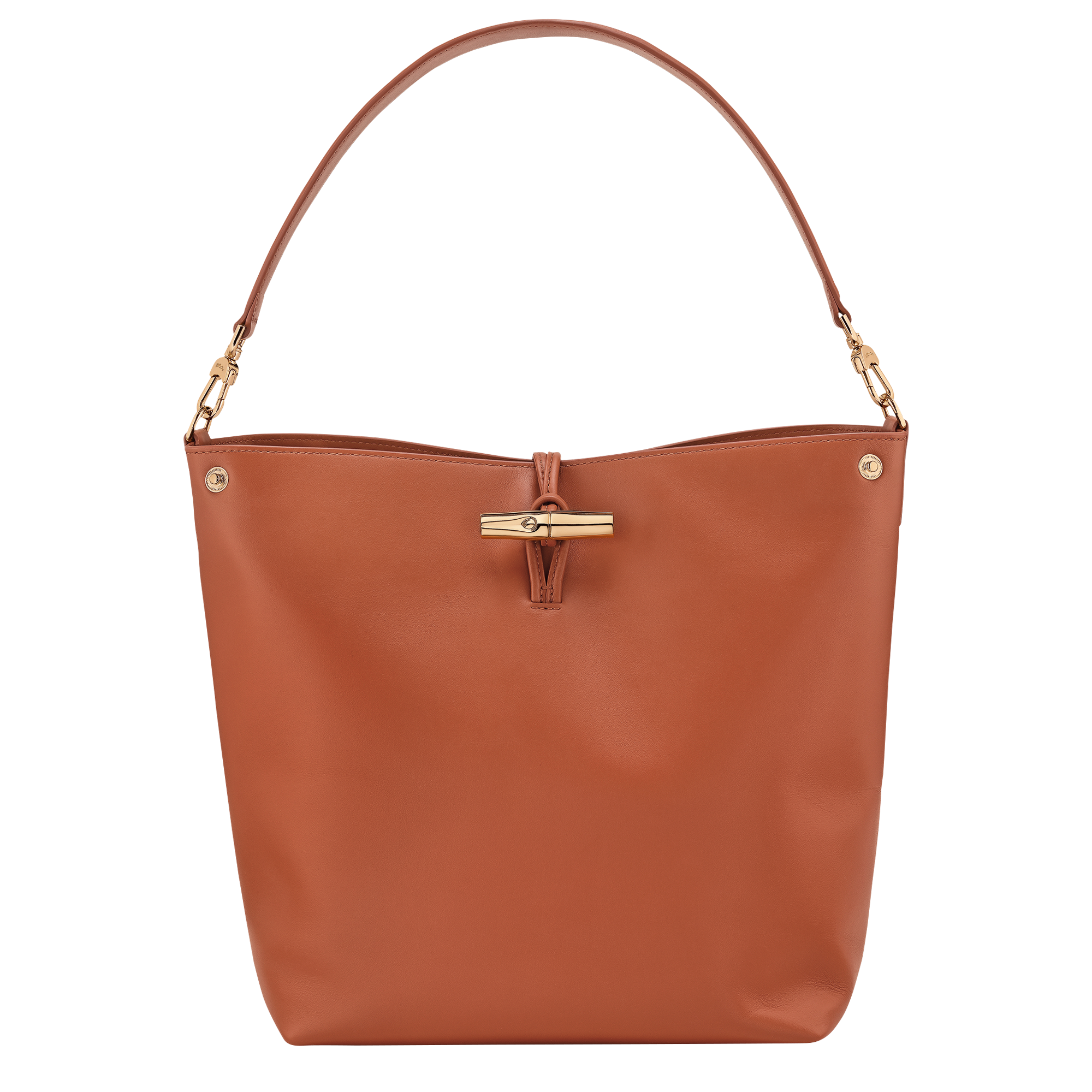 Le Roseau M Hobo bag