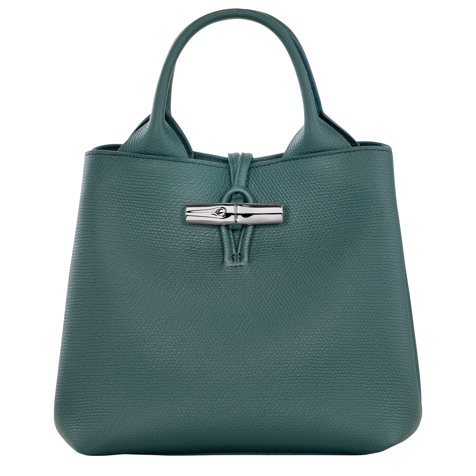 Le Roseau S Handbag