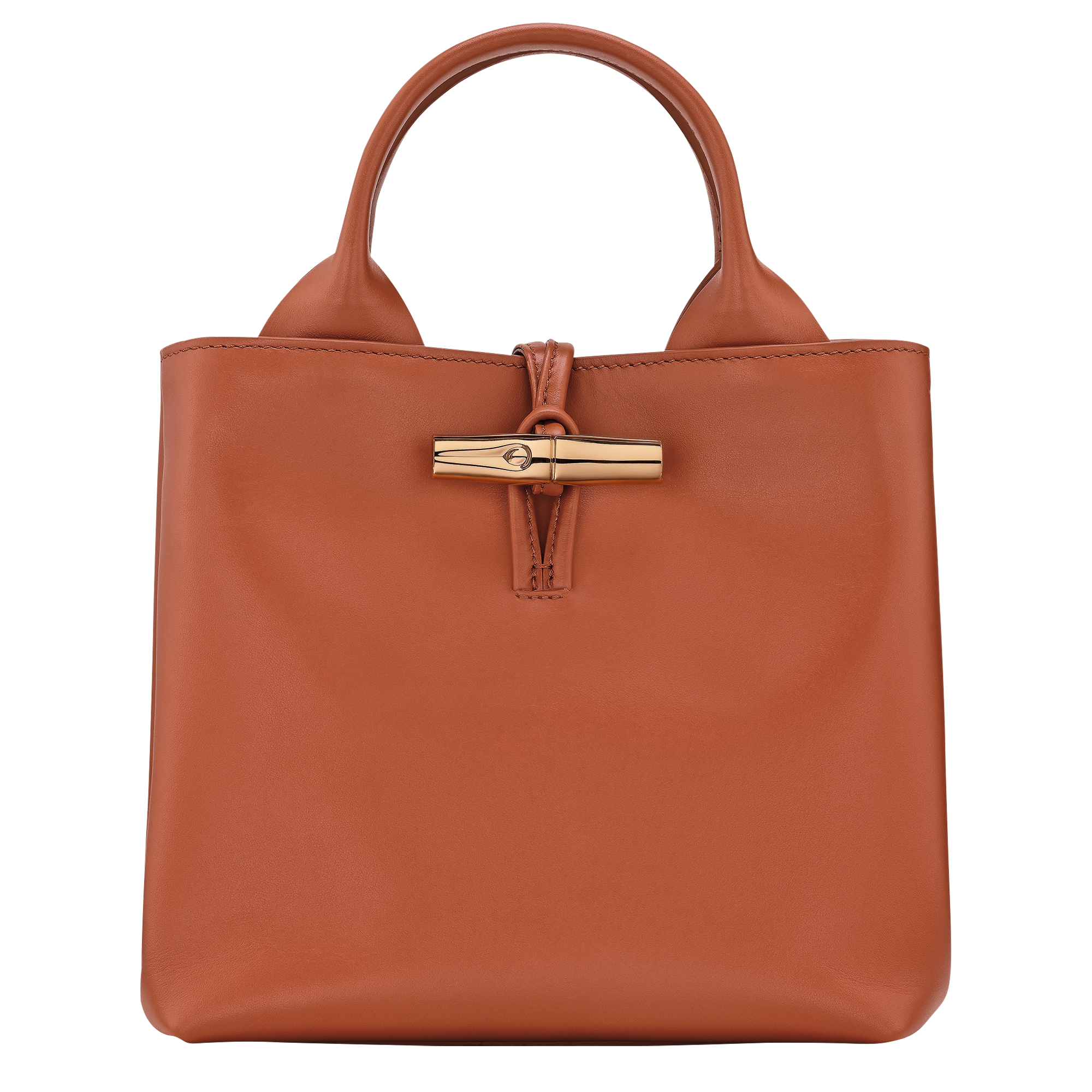 Le Roseau S Handbag