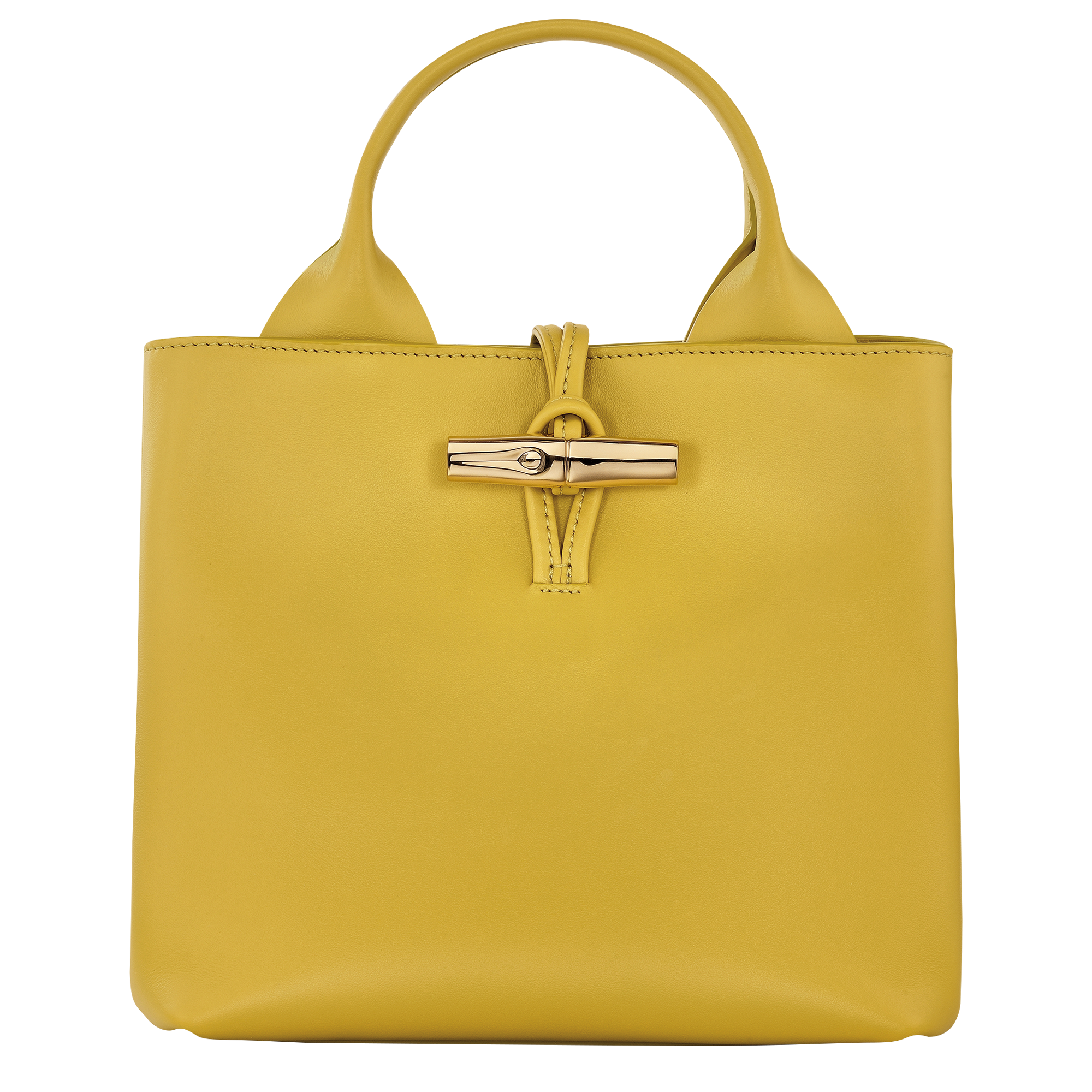 Le Roseau S Handbag