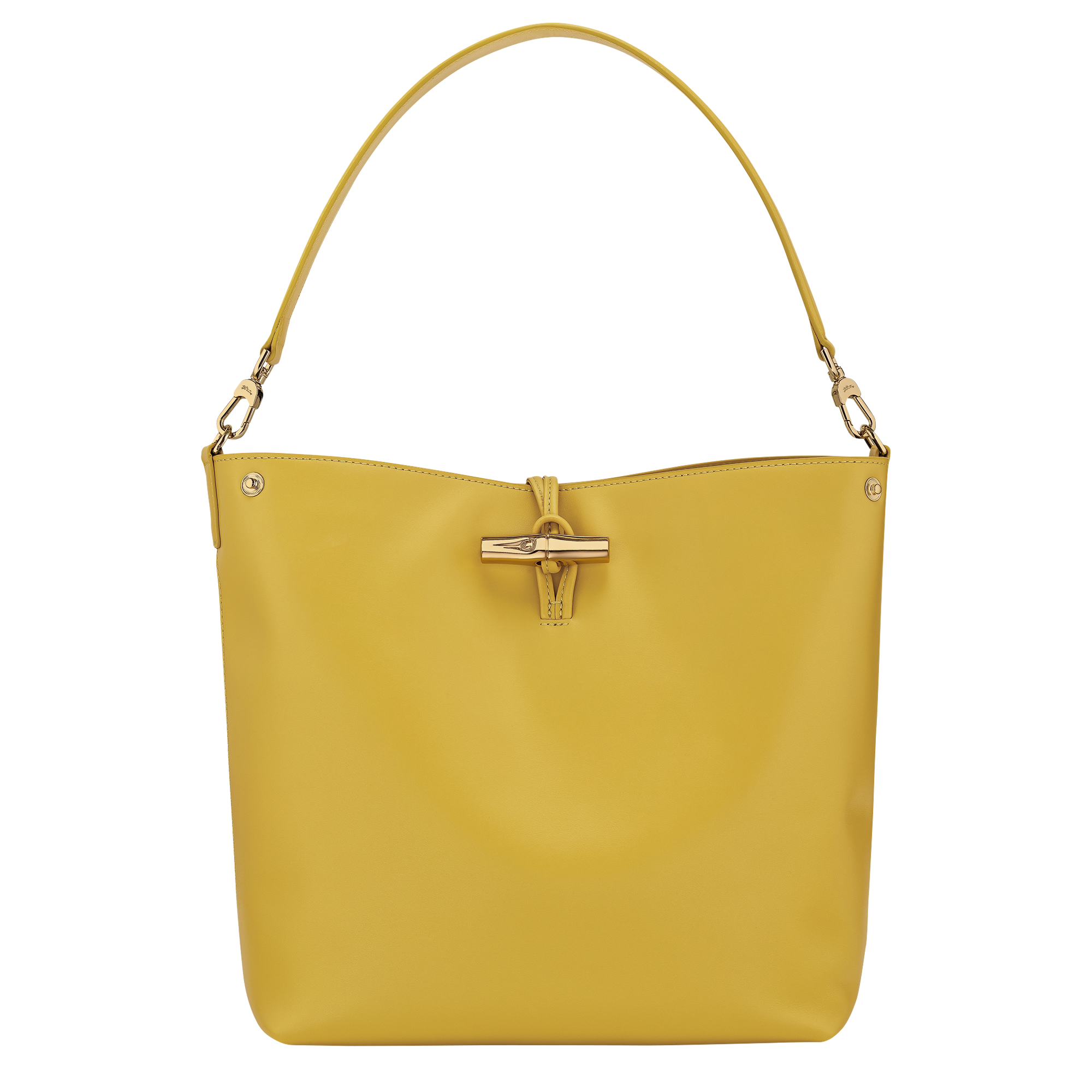 Le Roseau M Hobo bag