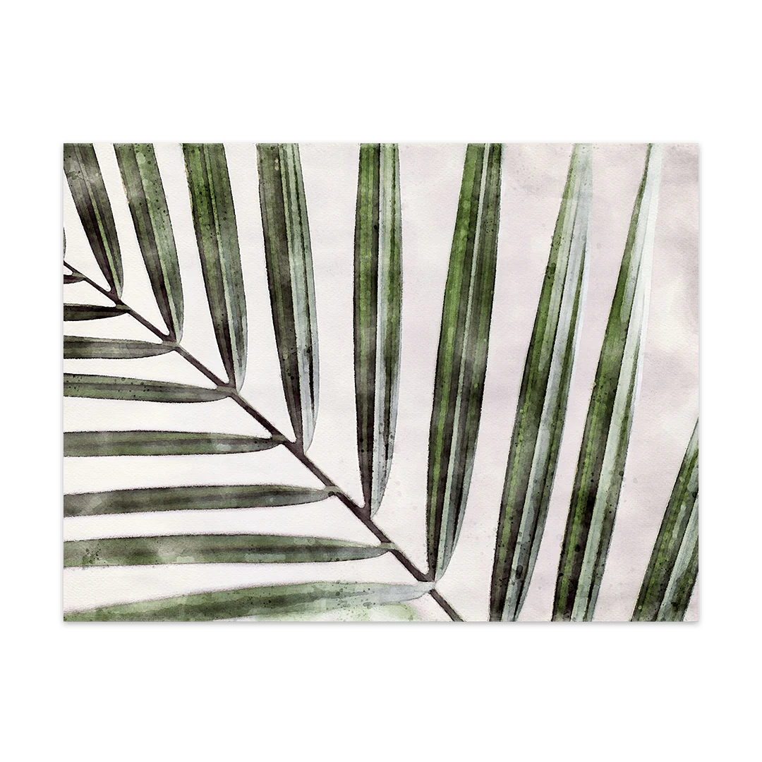Kentia Palme