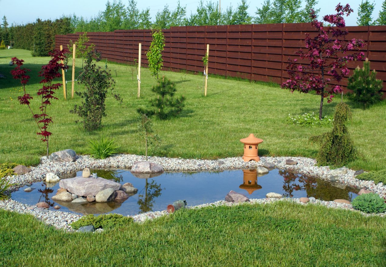 Création d'un bassin : on vous explique tout !