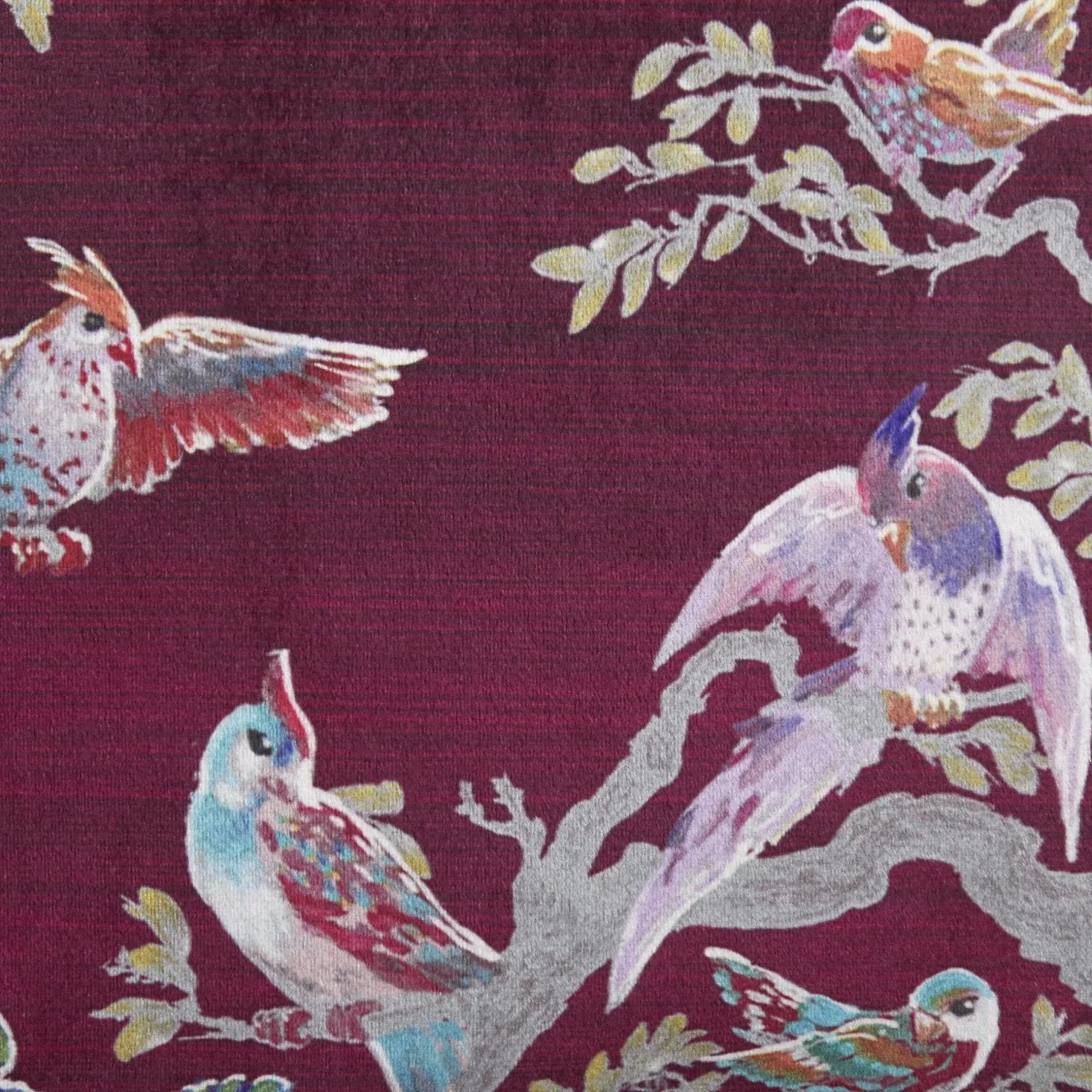 Laurence Llewelyn-Bowen Birdity Absurdity Pink Velvet Cushion (43cm x 43cm)