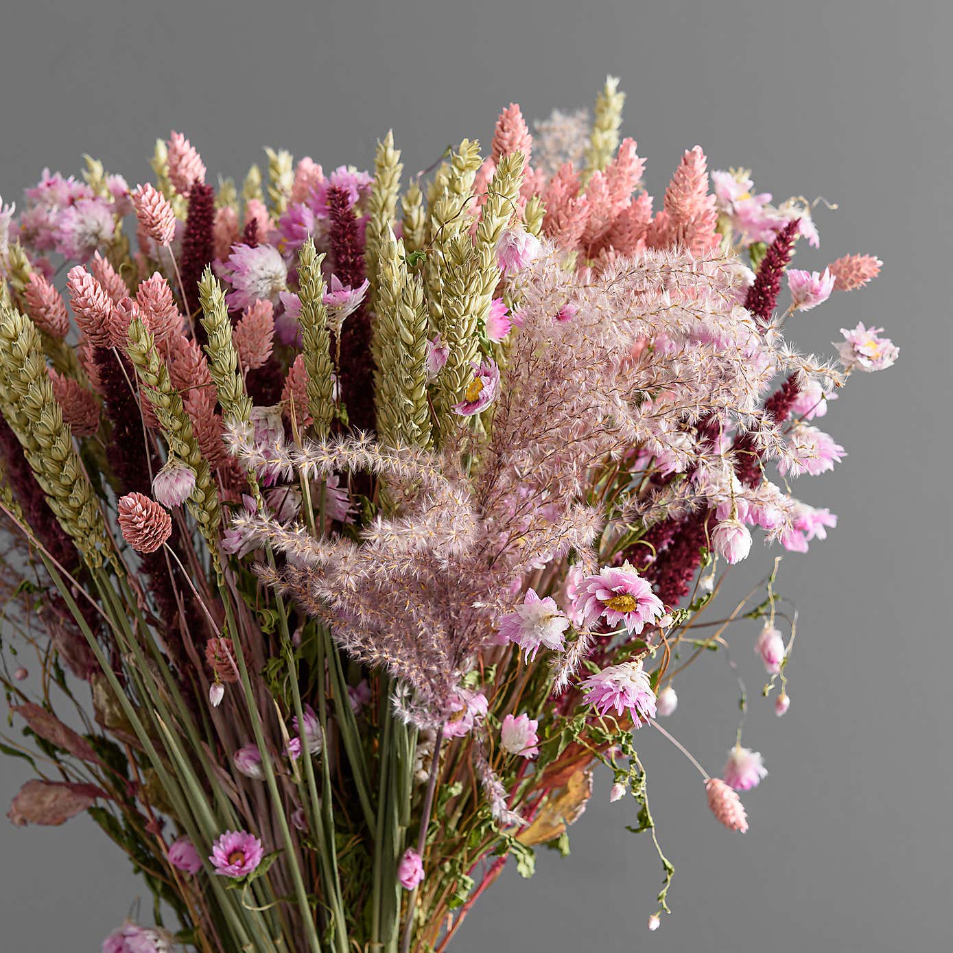 Dried Pink Phalaris Bouquet