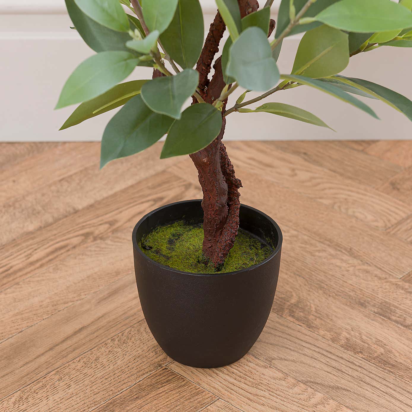 Artificial Sweet Bay Magnolia in Black Plastic Plant Pot