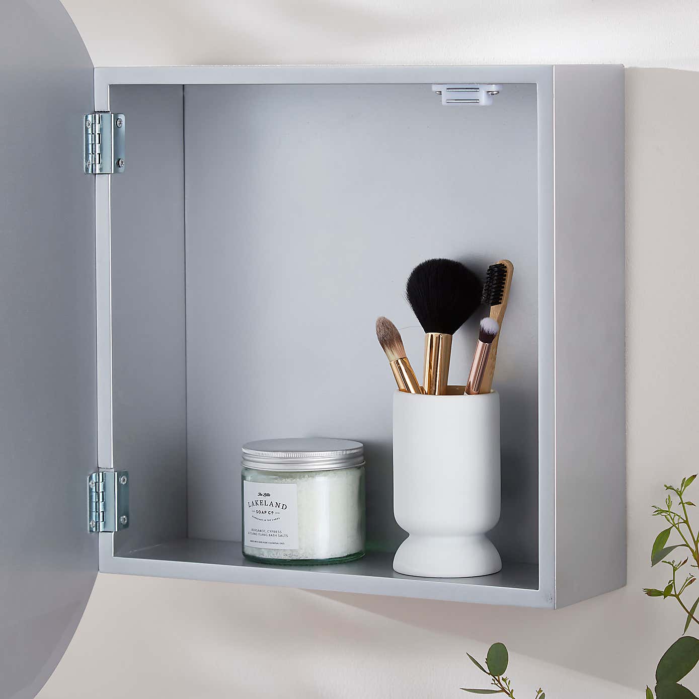 Lincoln Mirrored Cabinet