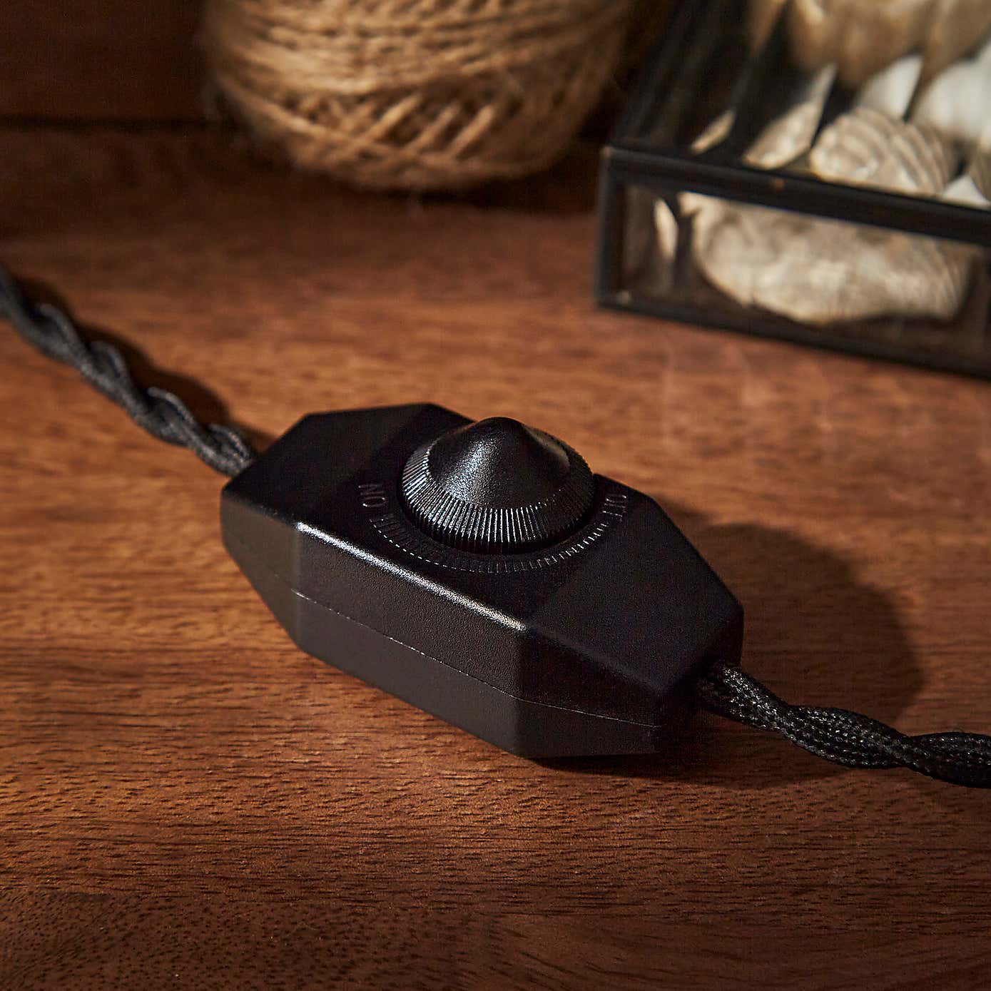 Dodo Plug in Wall Light