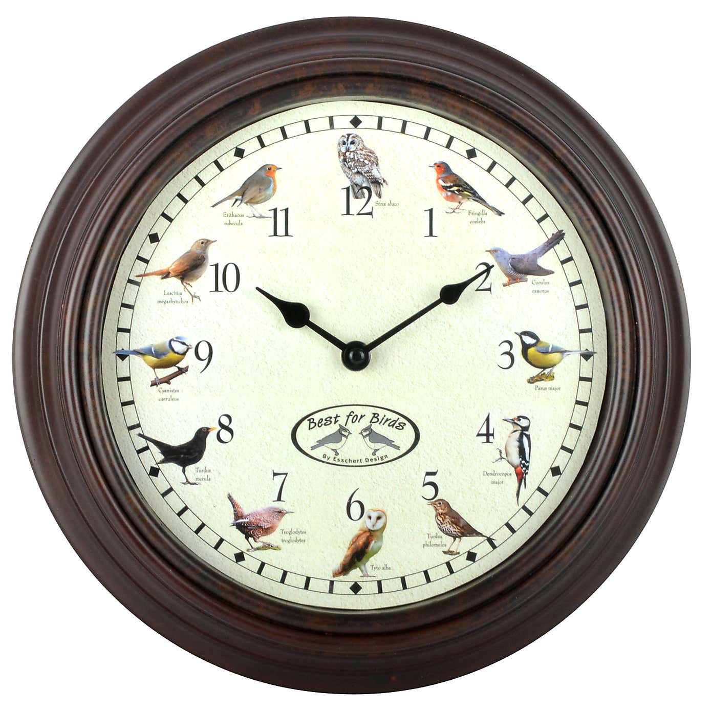 Fallen Fruits Bird Song Clock