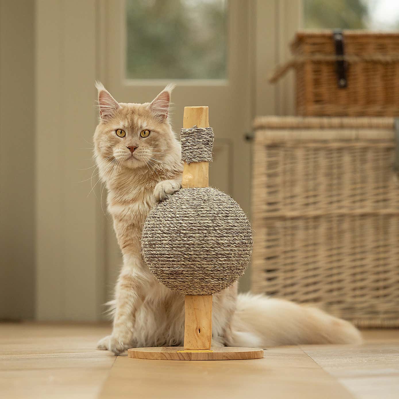 Lords and Labradors Ball Cat Scratch Post