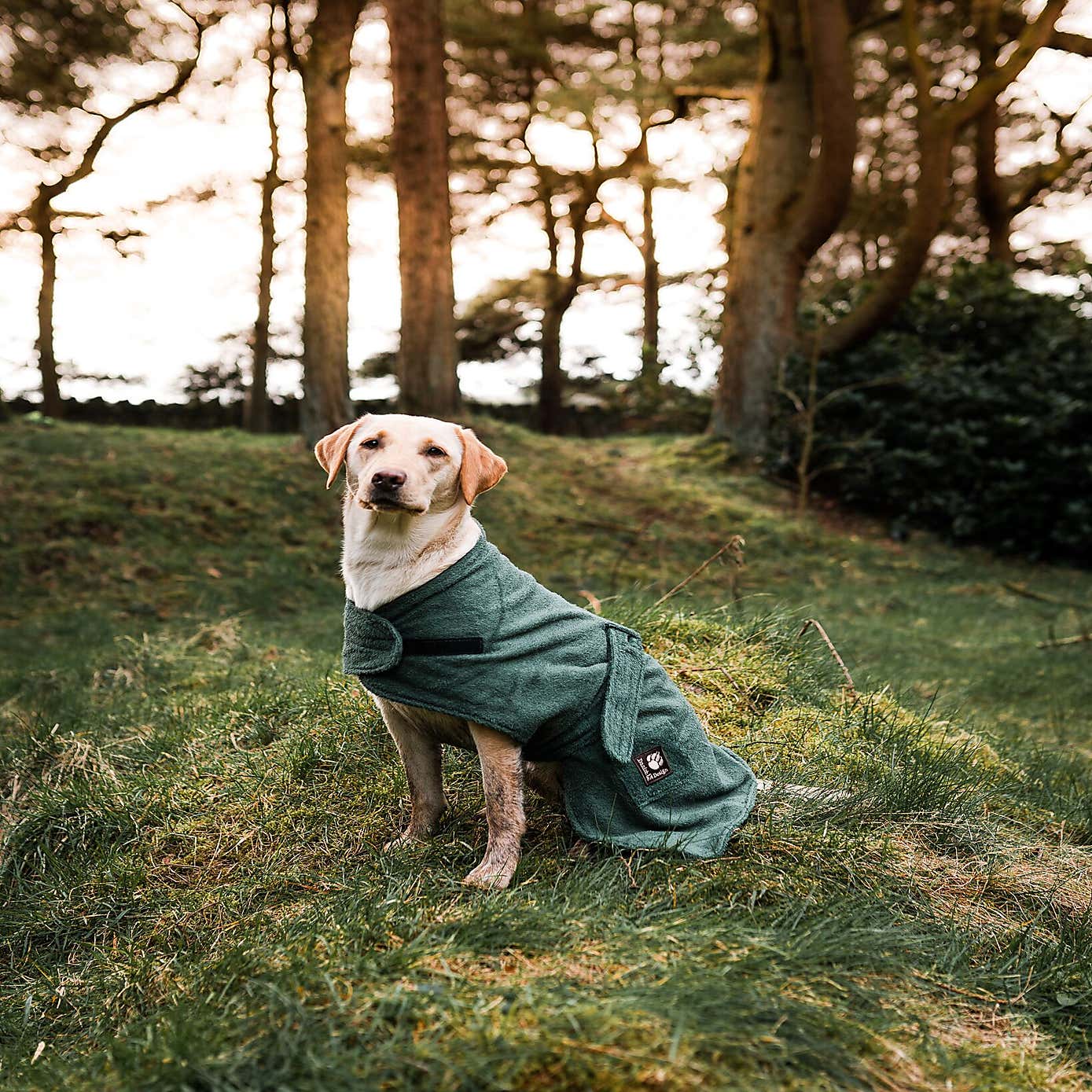 Danish Design Towelling Dog Robe