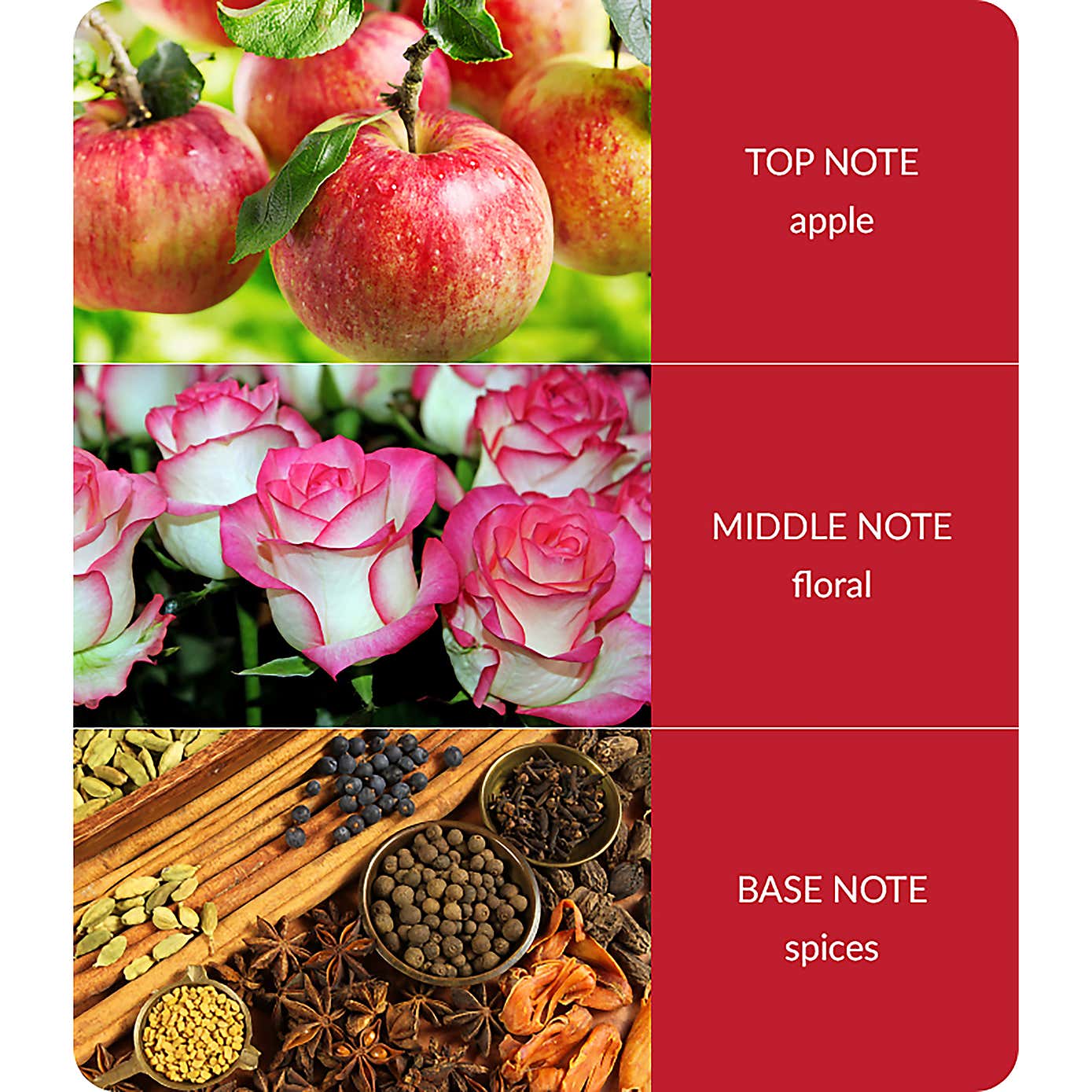 Heart and Home Bamboo Spiced Apple & Cinnamon Diffuser