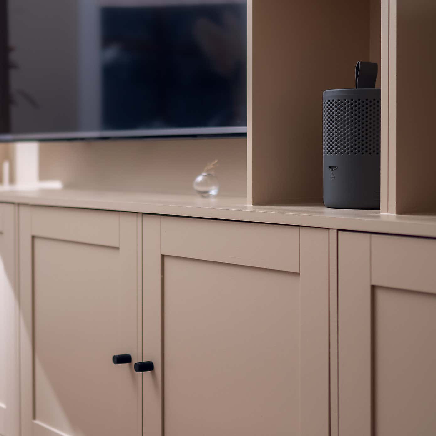 Absodry Duo Family Moisture Absorber