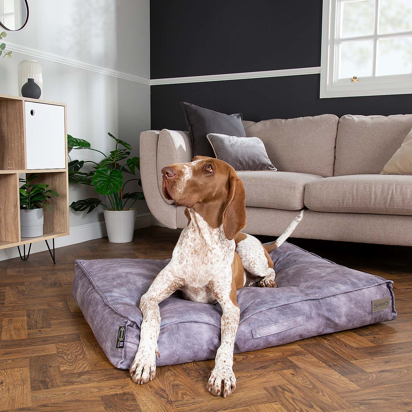 Scruffs Kensington Mattress Pet Bed