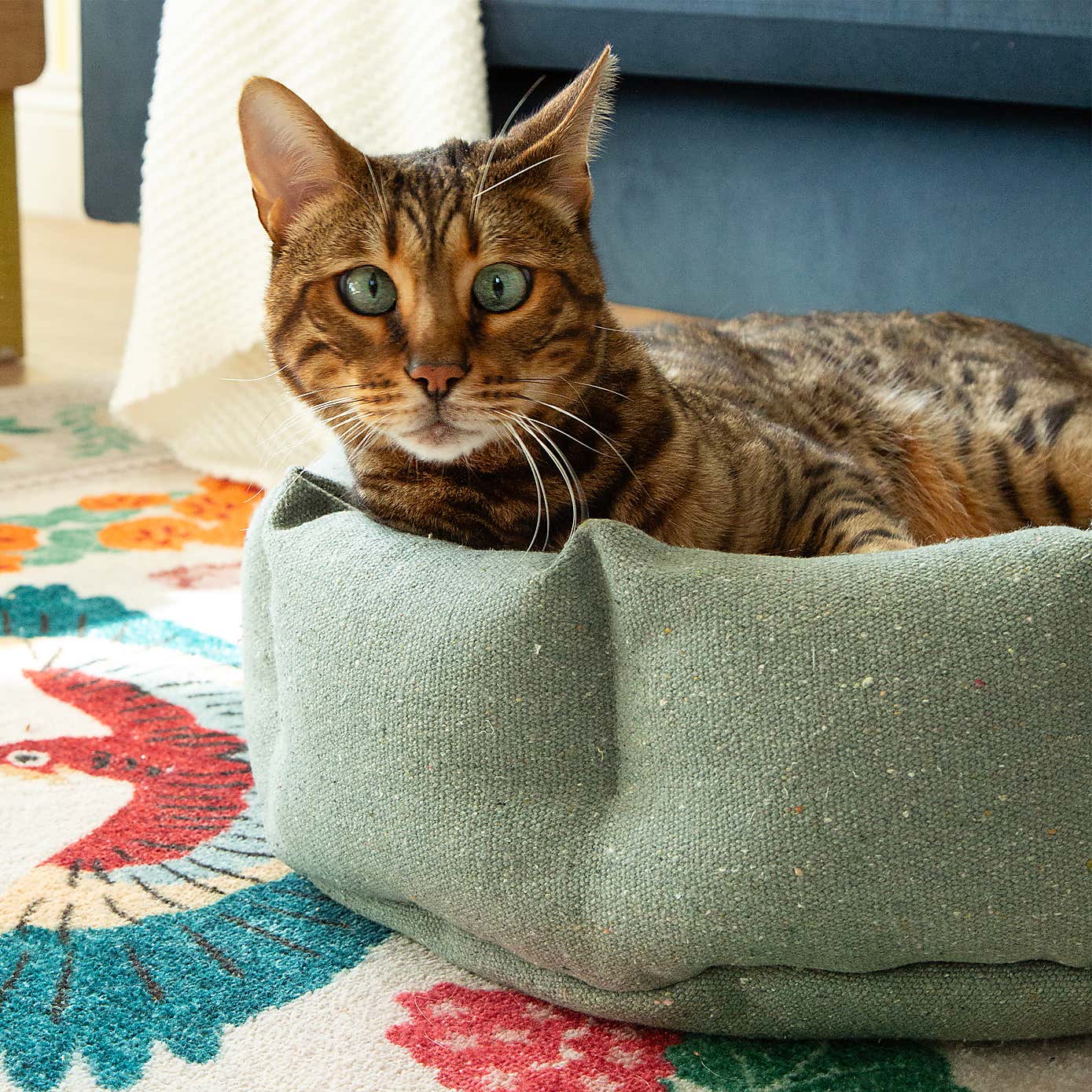 Scruffs 100% Recycled Eden Cat Small Dog Bed