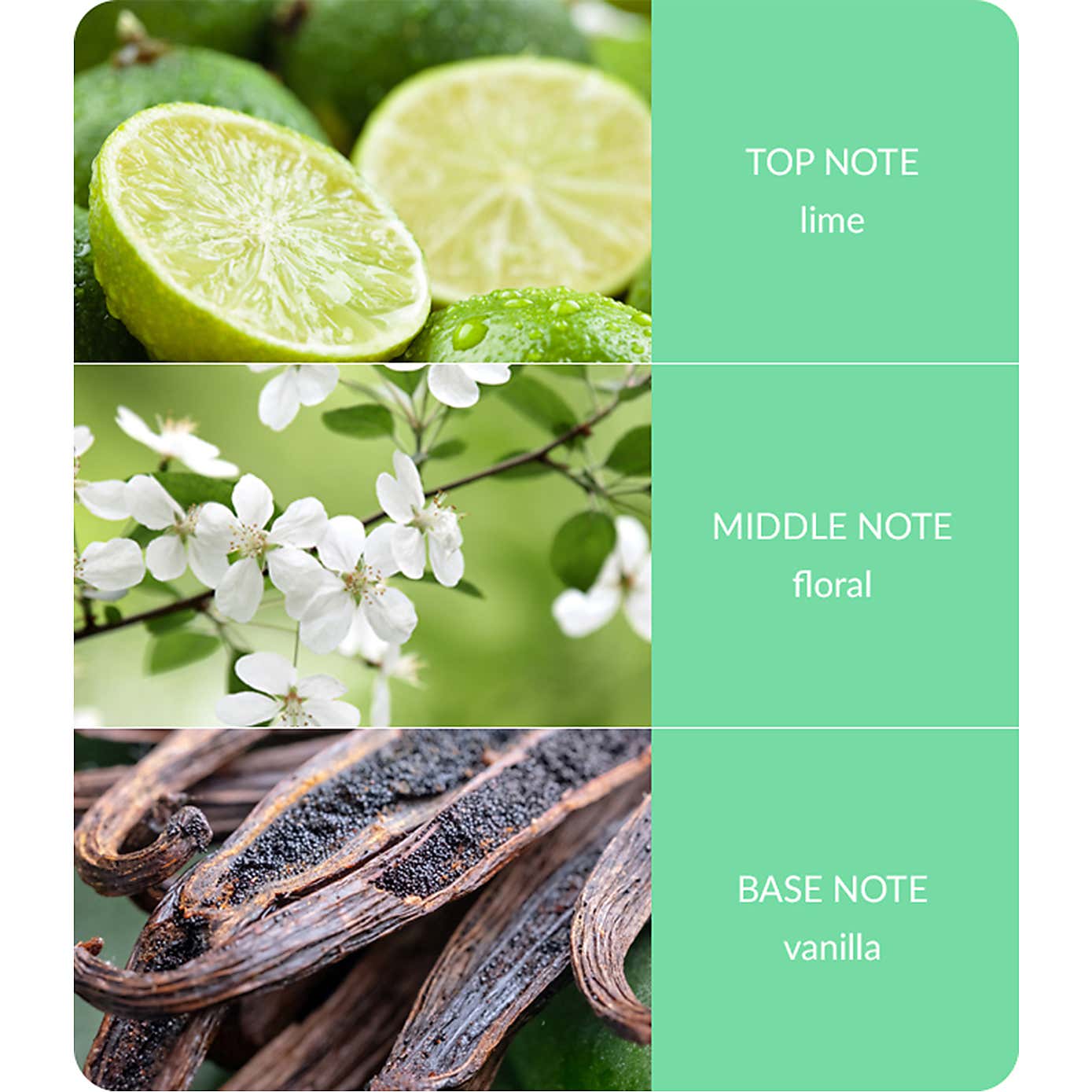 Heart and Home Ellipse Lime Splash Multi Wick Candle