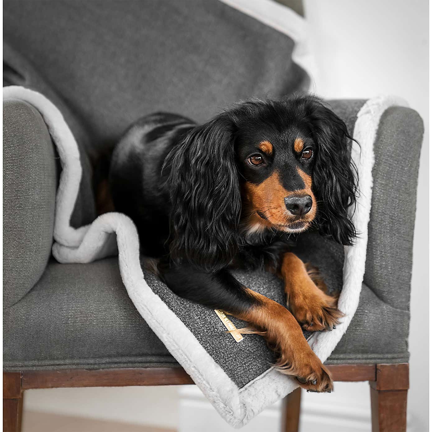 Lords and Labradors Essentials Herdwick Dog Blanket