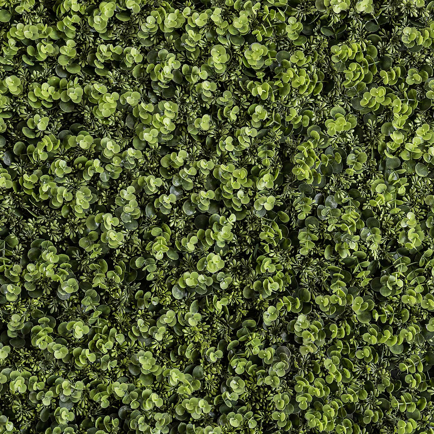 Artificial Eucalyptus and Sedum Wall Panels