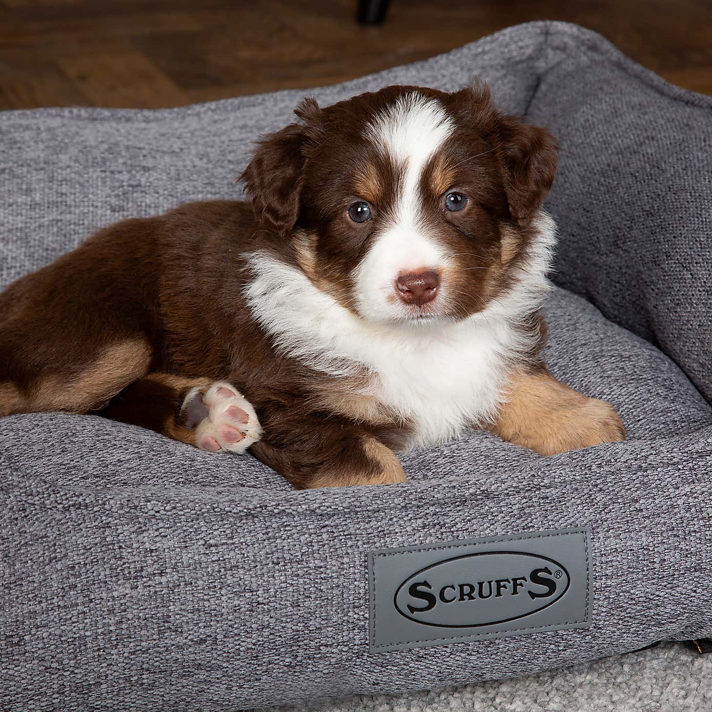 Scruffs Pet Manhattan Box Bed