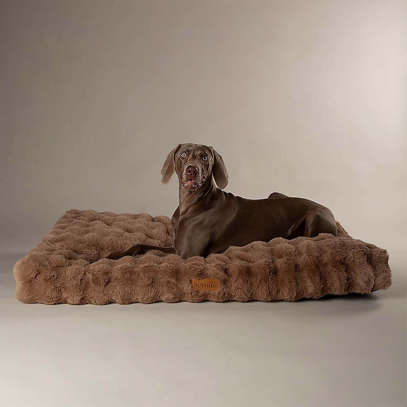 Scruffs Luxurious Alpine Dog Mattress