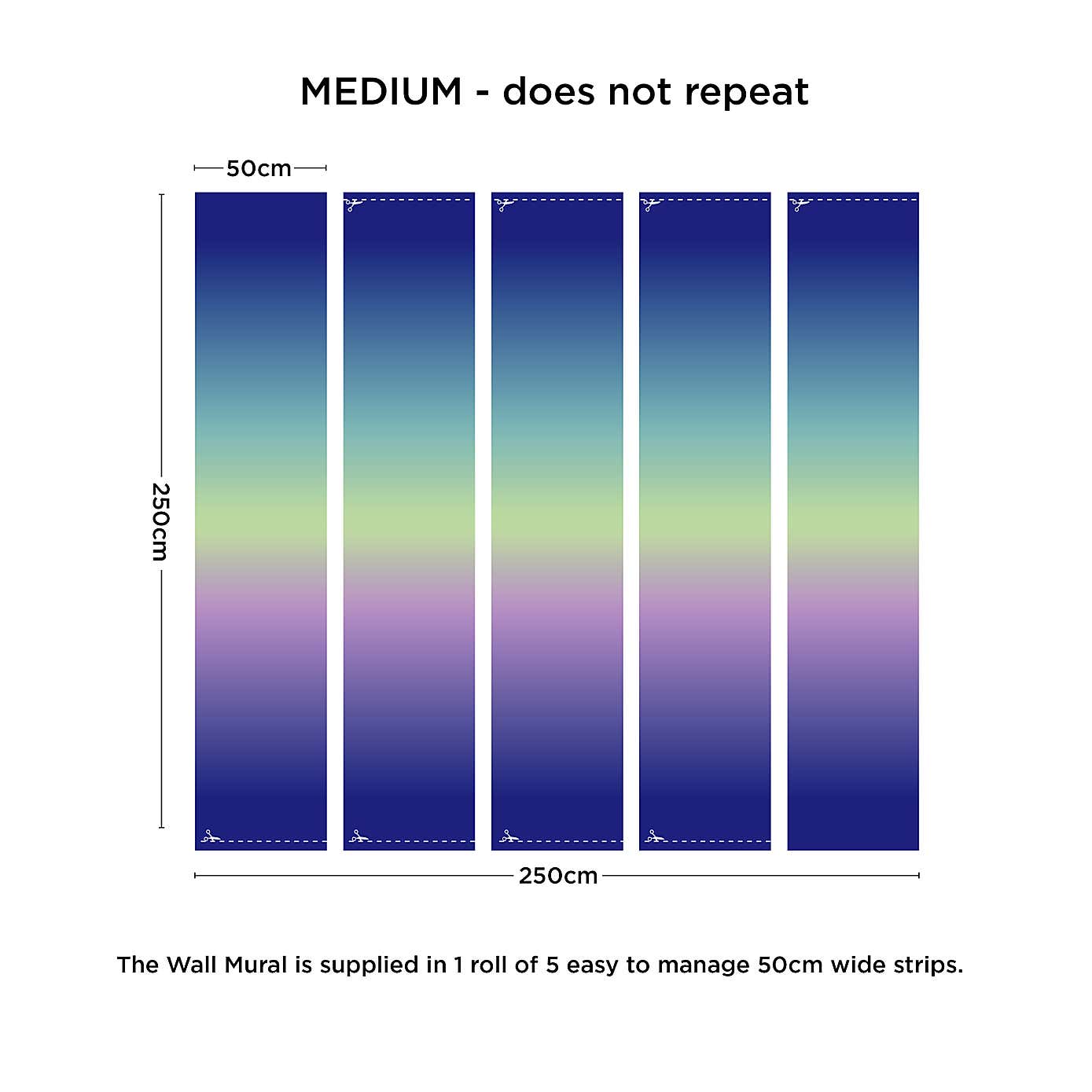 Ombre Rainbow Large Mural