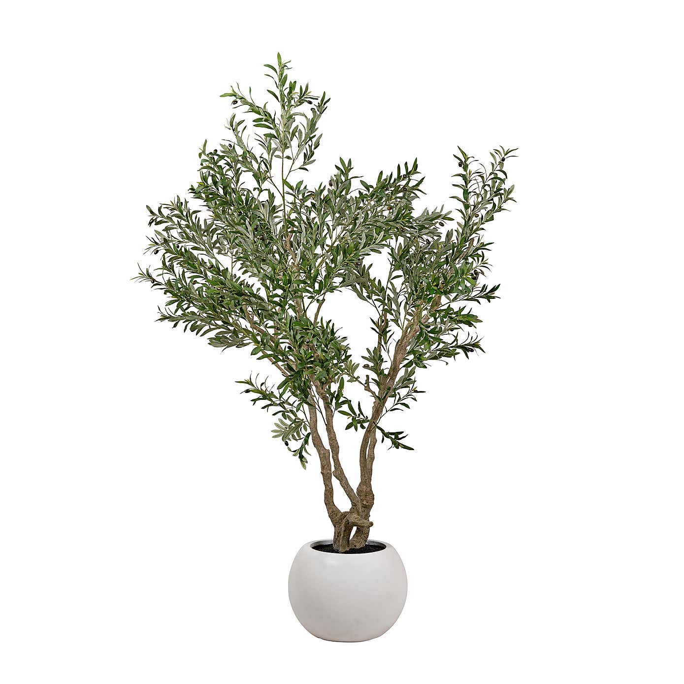 Artificial Extra Large Olive Tree in Rounded White Plant Pot