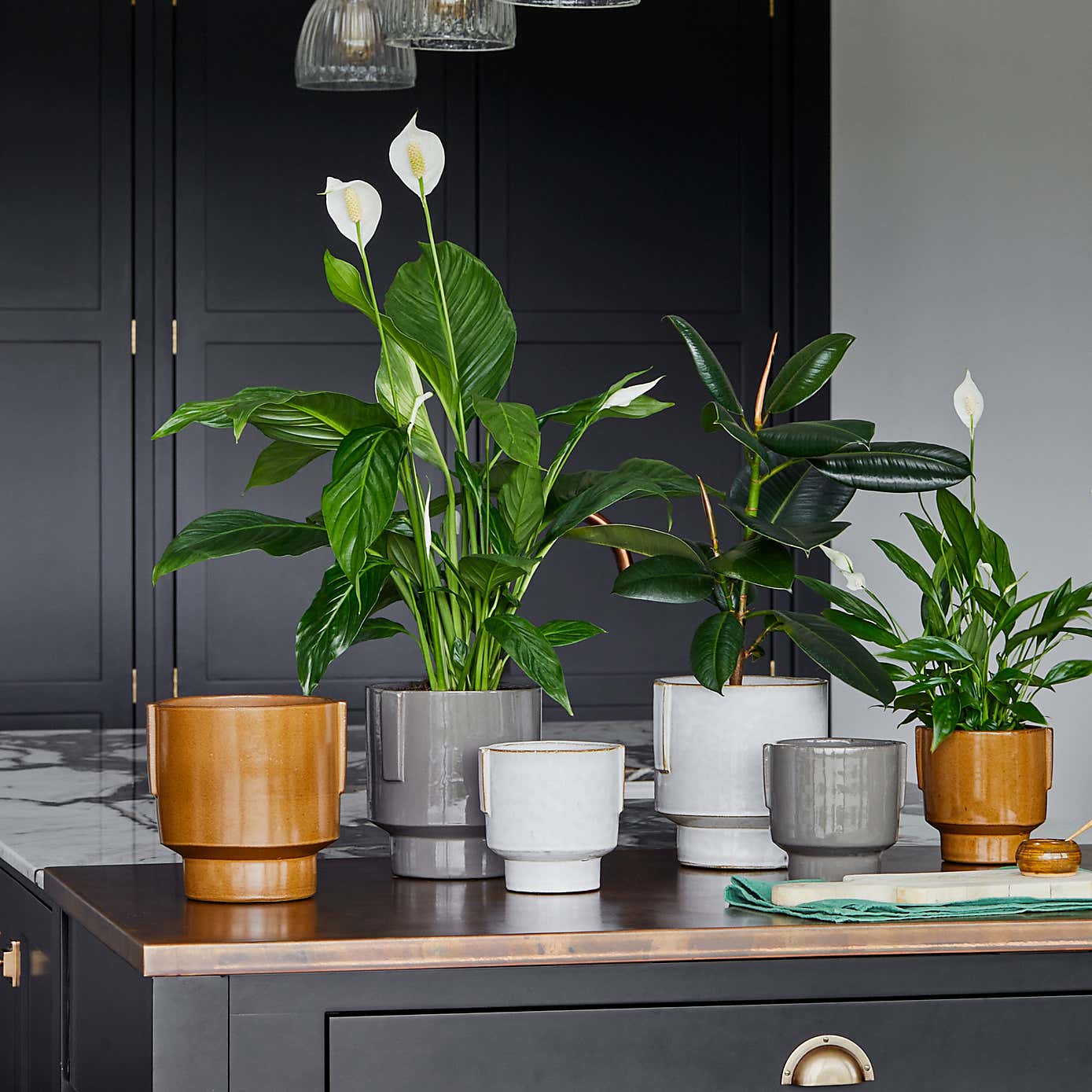 Aries Glazed Handles Planter