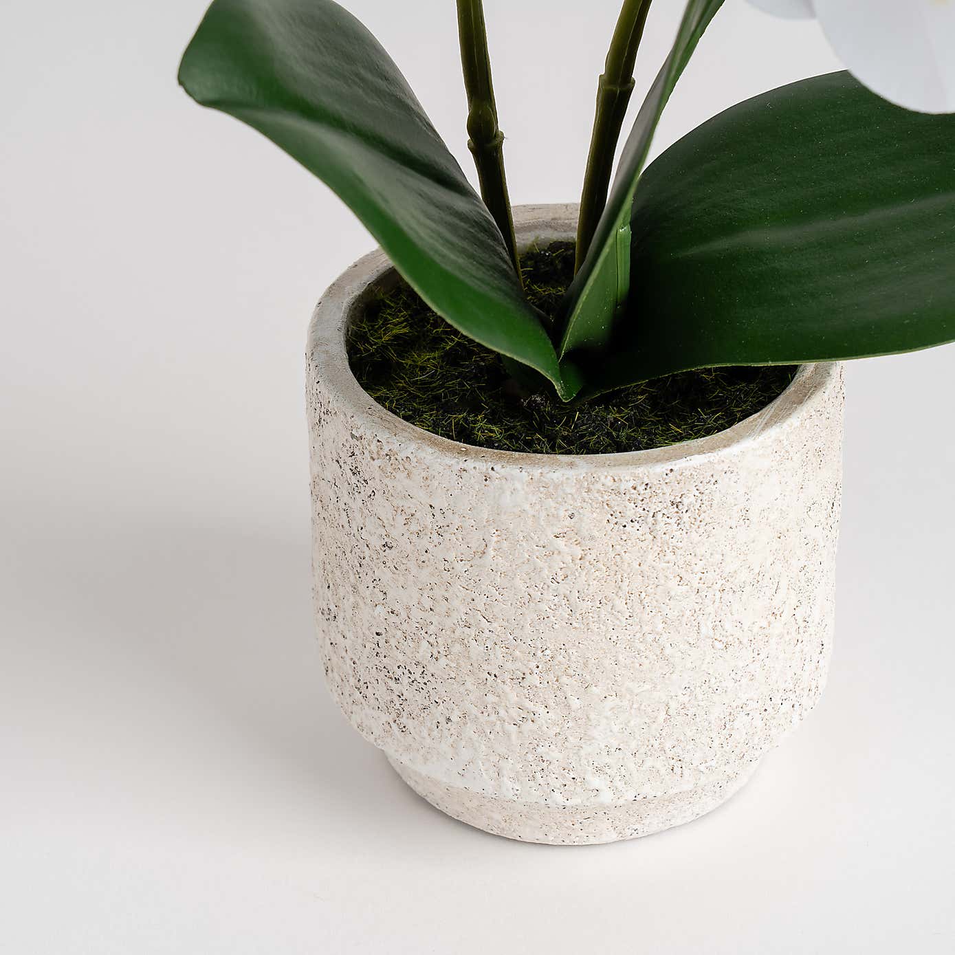 Artificial Real Touch Mini Phalaenopsis Orchid in Cement Pot
