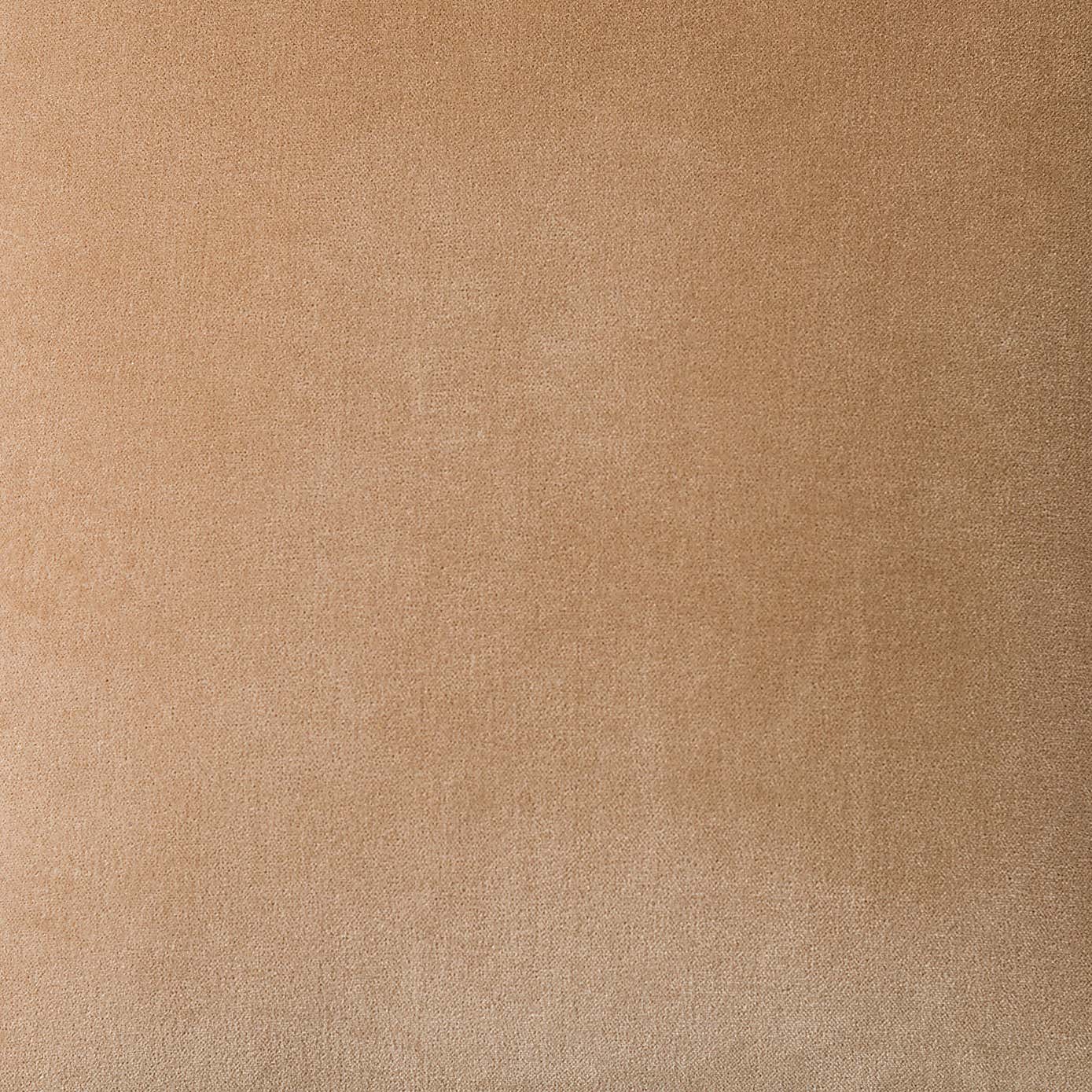 Clara Cotton Velvet Cushion