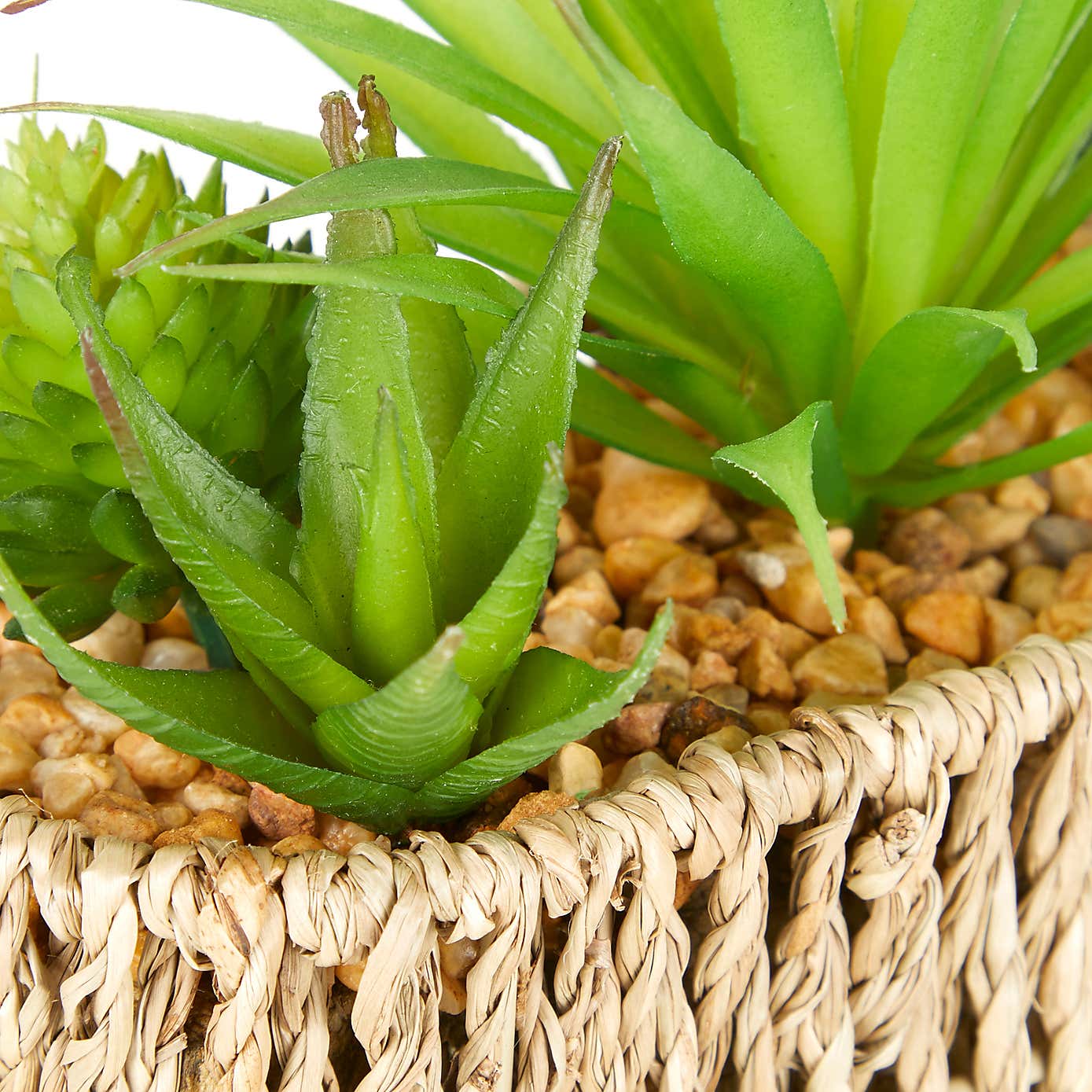 Artificial Succulents in Woven Plant Pot
