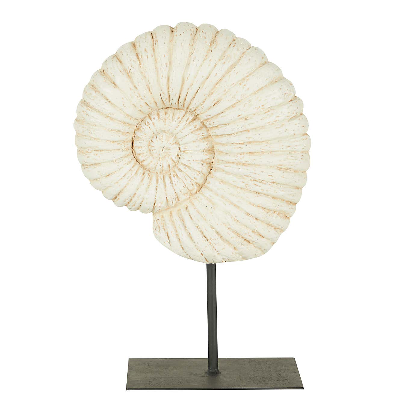 Fossil Shell on Stand Ornament