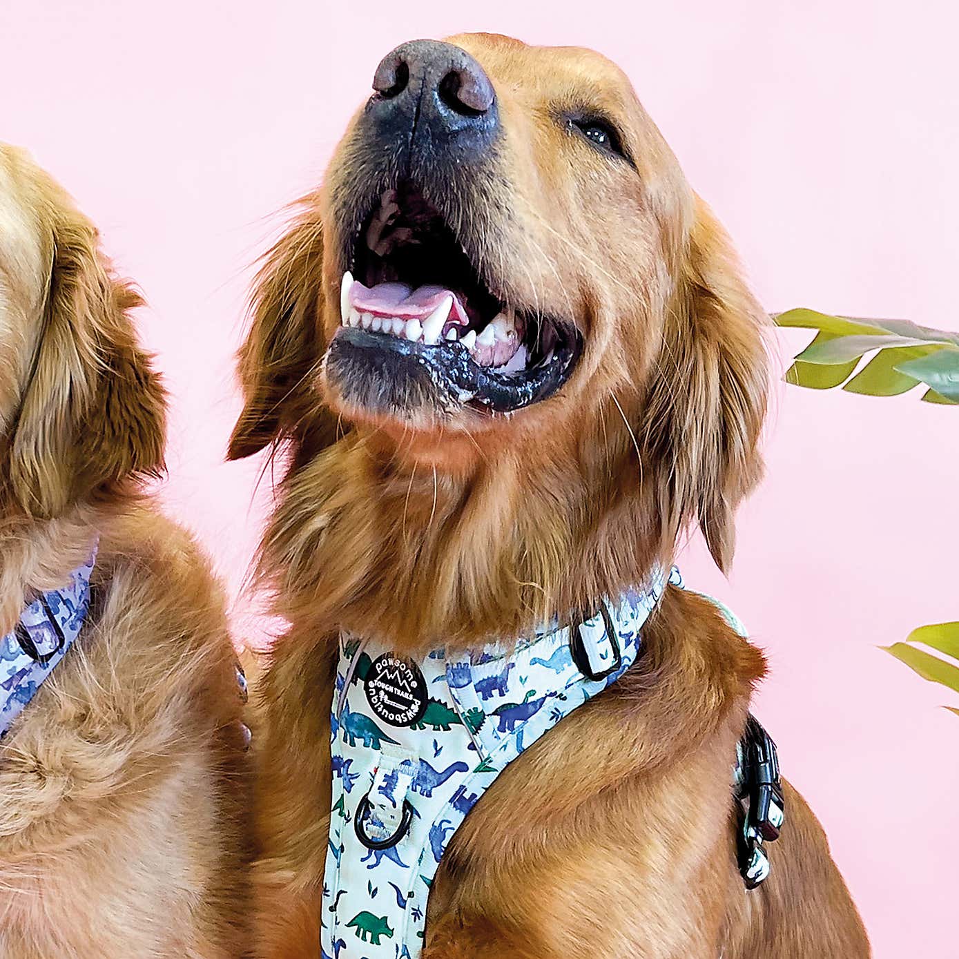 Dinky Dino Tough Trails Dog Harness