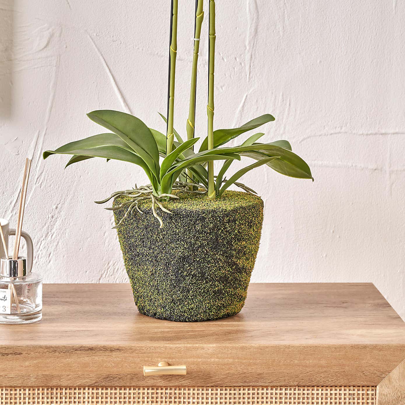 Artificial White Orchid in Moss Plant Pot