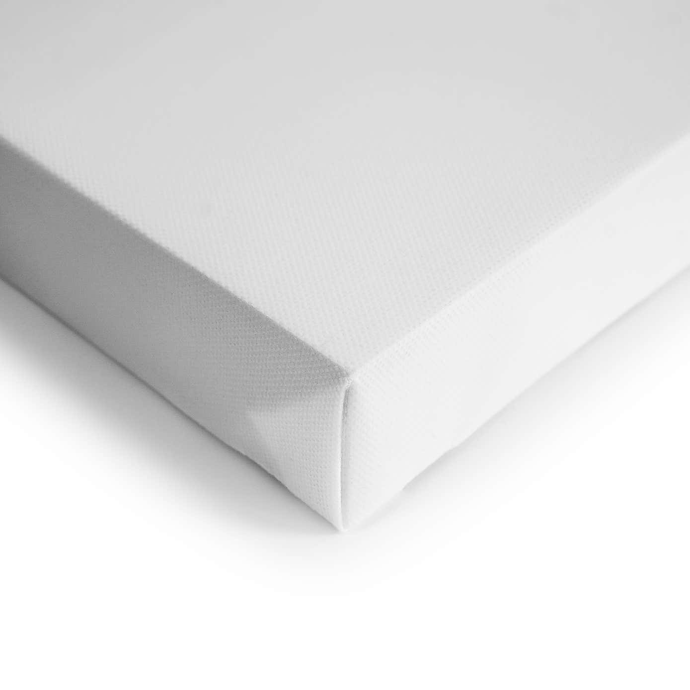 Frida by Aimee Wilson Canvas