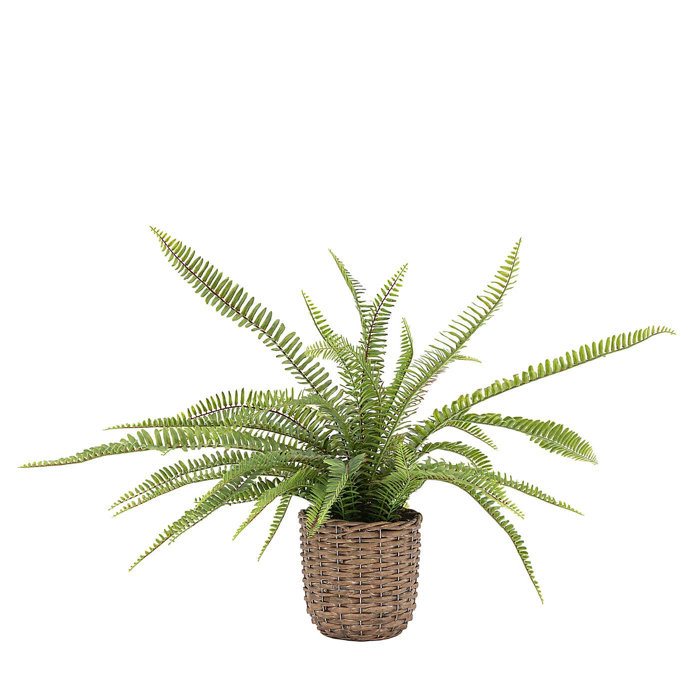 Artificial Fern in Wicker Pot