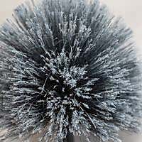 Sorbo Indoor Outdoor Cobweb Brush