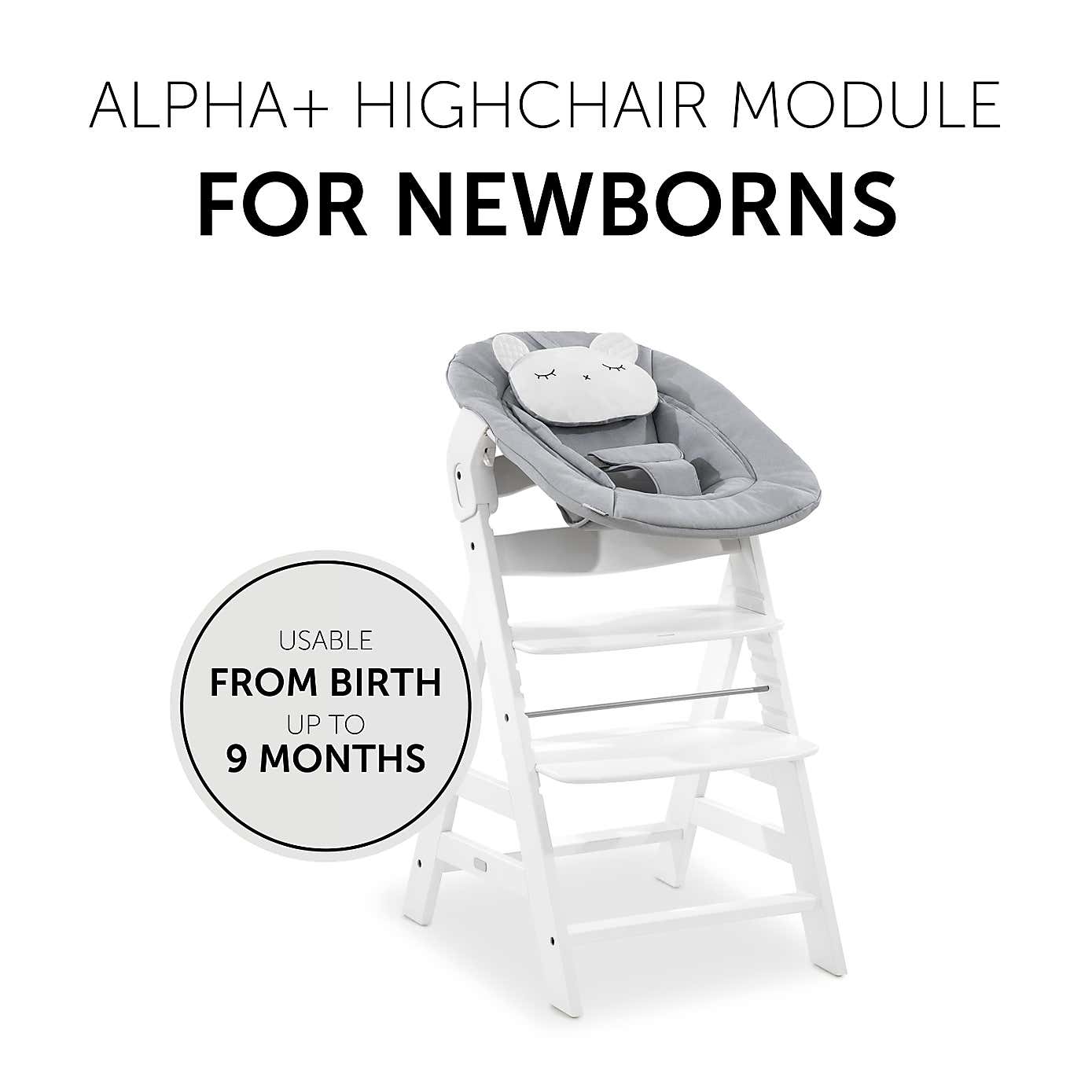 hauck Alpha 2 in 1 Bouncer